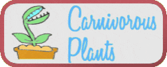 Kudzu, Aquatic Plants, Carnivorous Plants, Wildflowers, photosynthesis, Botanical Gardens, Venus Fly Trap